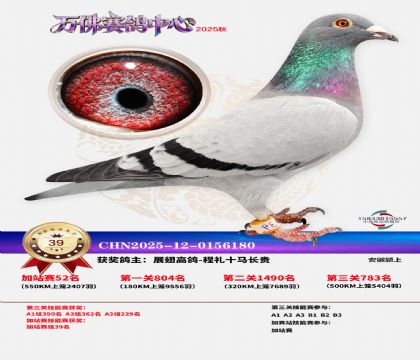 �����f���վِ39��