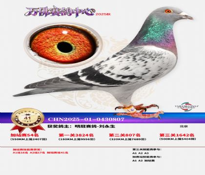 �����f���վِ41��