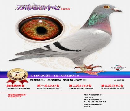 �����f���վِ43��