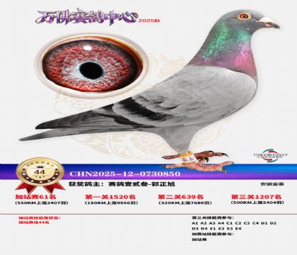 �����f���վِ44��