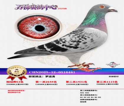 �����f���վِ45��