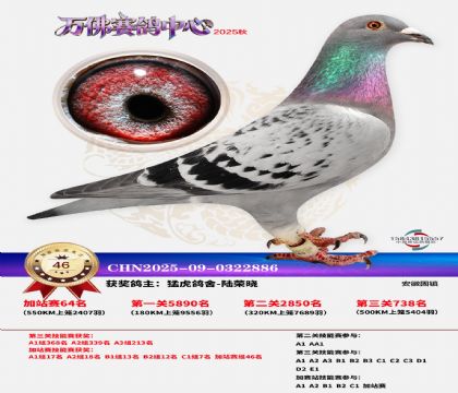 �����f���վِ46��