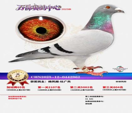 �����f���վِ47��