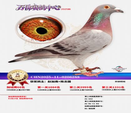 �����f���վِ48��