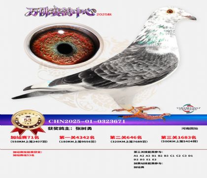 �����f���վِ53��