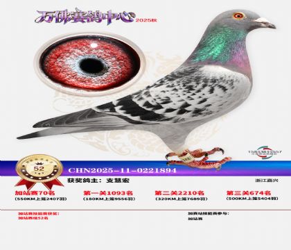 �����f���վِ52��