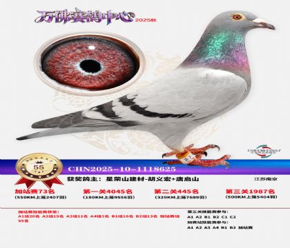 �����f���վِ55��