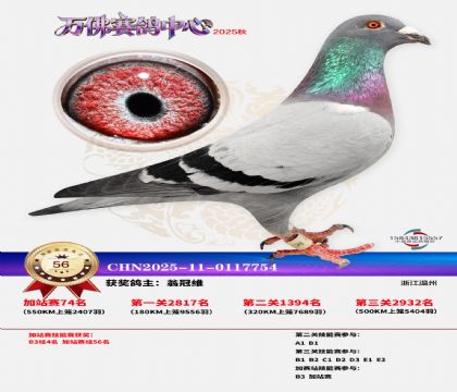 �����f���վِ56��