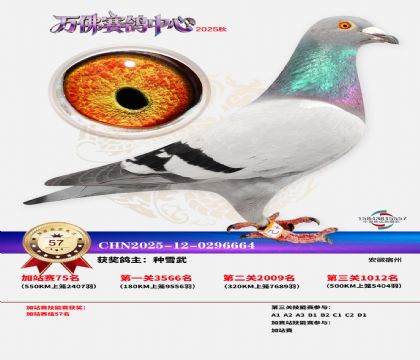 �����f���վِ57��