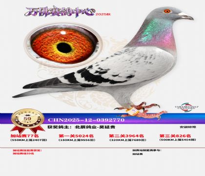 �����f���վِ59��