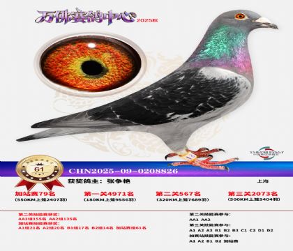 �����f���վِ61��