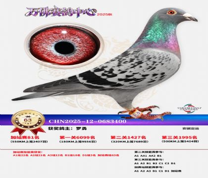 �����f���վِ63��