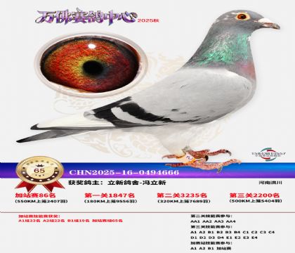 �����f���վِ65��