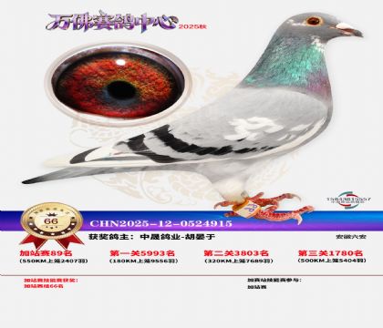 �����f���վِ66��