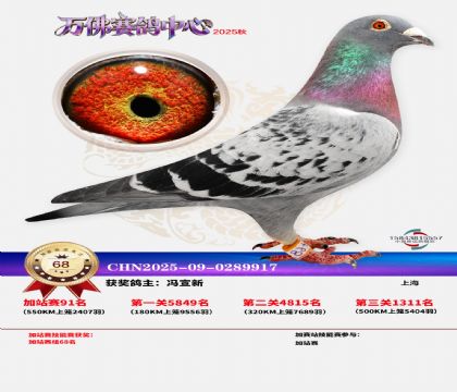 �����f���վِ68��