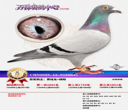 �����f���վِ72��