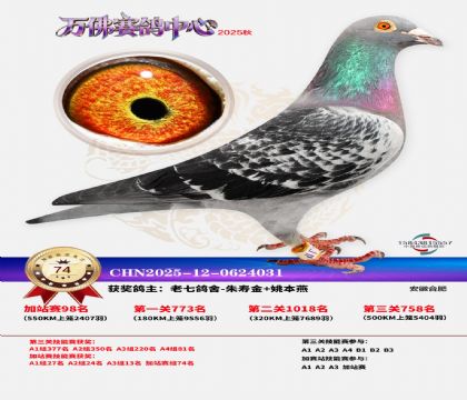 �����f���վِ74��