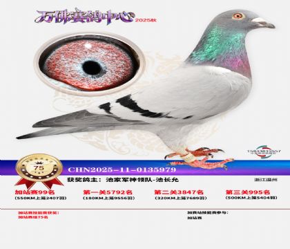 �����f���վِ75��