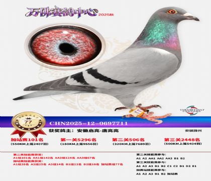 �����f���վِ77��