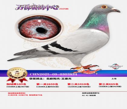 �����f���վِ79��