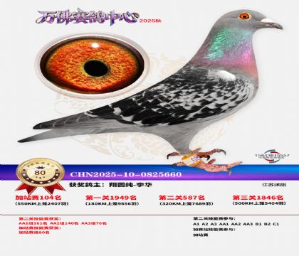 �����f���վِ80��