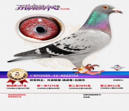 �����f���վِ82��