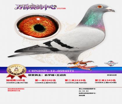 �����f���վِ83��