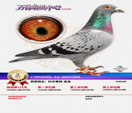 �����f���վِ85��