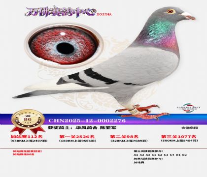 �����f���վِ86��