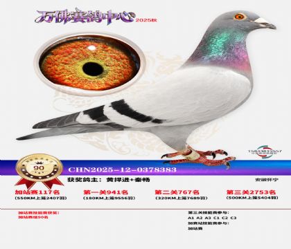 �����f���վِ90��