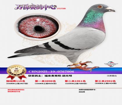 �����f���վِ89��