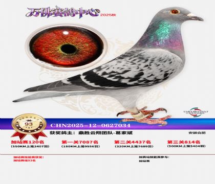 �����f���վِ93��