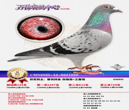 �����f���վِ95��