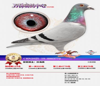 �����f���վِ96��