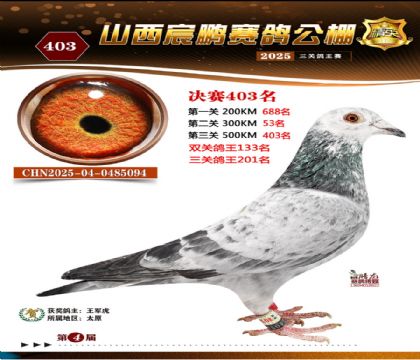 ɽ����i�Qِ403��