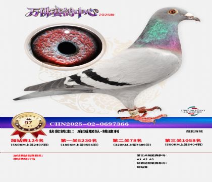 �����f���վِ97��