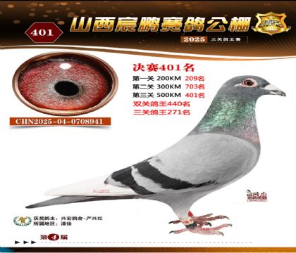 ɽ����i�Qِ401��