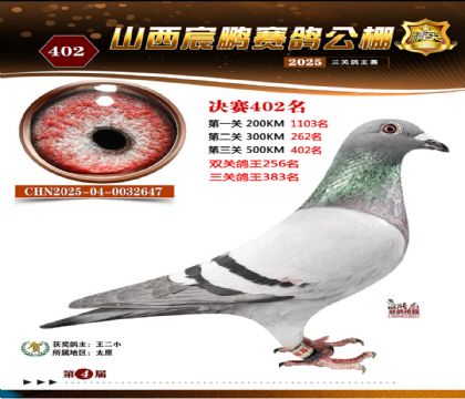 ɽ����i�Qِ402��