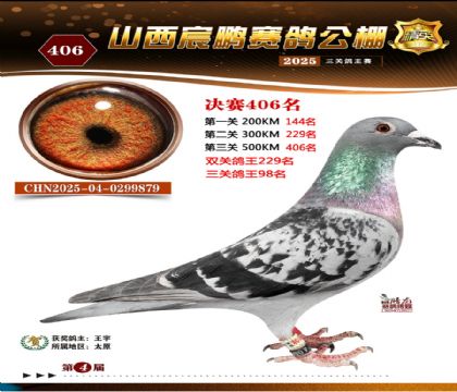 ɽ����i�Qِ406��