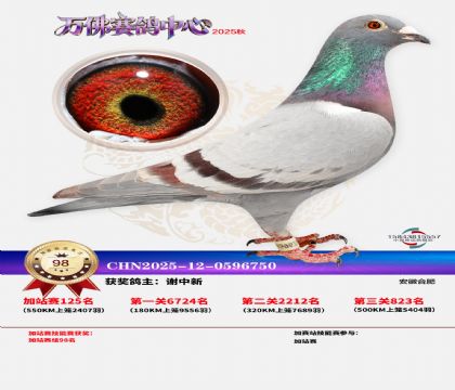 �����f���վِ98��