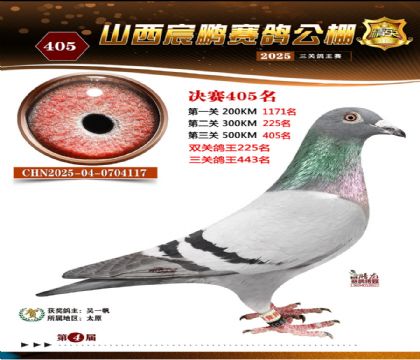 ɽ����i�Qِ405��