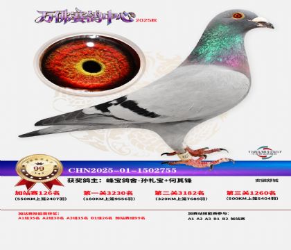 �����f���վِ99��