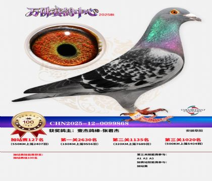 �����f���վِ100��