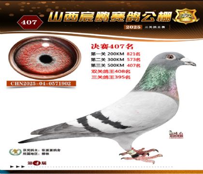 ɽ����i�Qِ407��