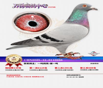 �����f���վِ101��