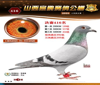 ɽ����i�Qِ416��