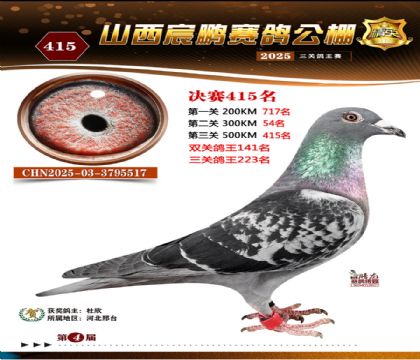 ɽ����i�Qِ415��