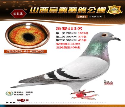 ɽ����i�Qِ413��