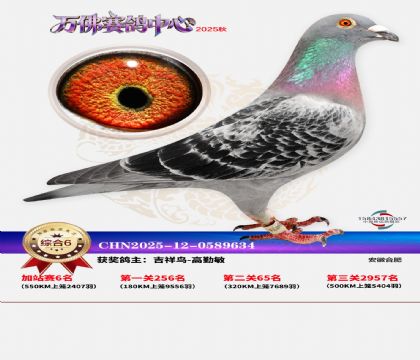 �����f������ِ6��