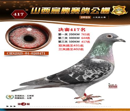 ɽ����i�Qِ417��